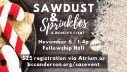 Sawdust & Sprinkles